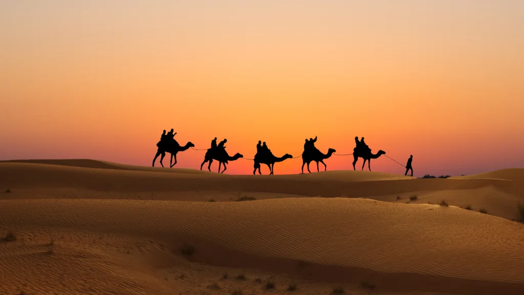 Sightseeing Prolight + Sound Middle East